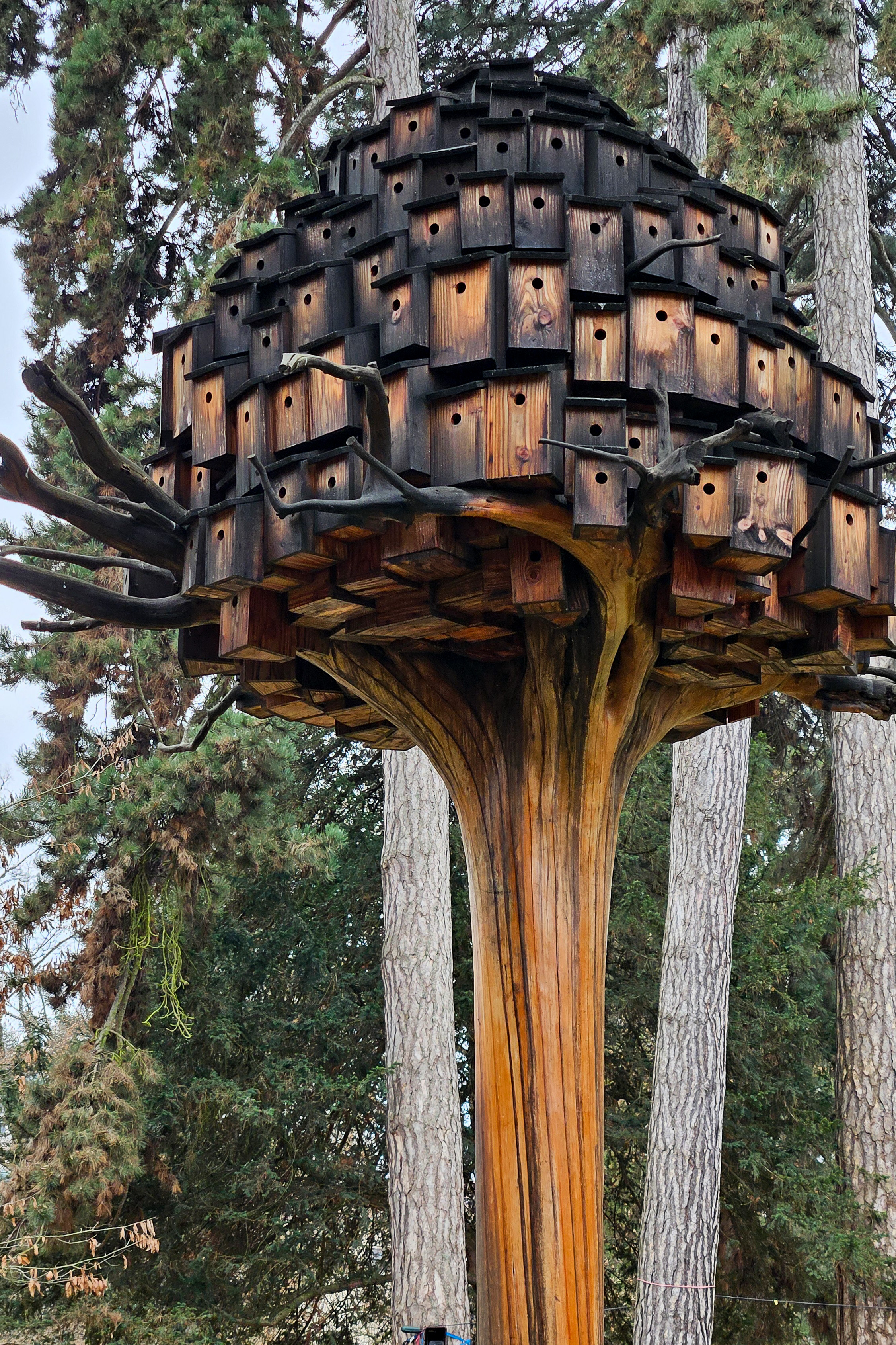 Installation  im Jardins de l'Europe